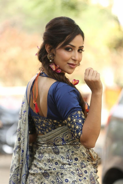 Beautiful Actress Kapilakshi Malhotra In Blue Saree 3